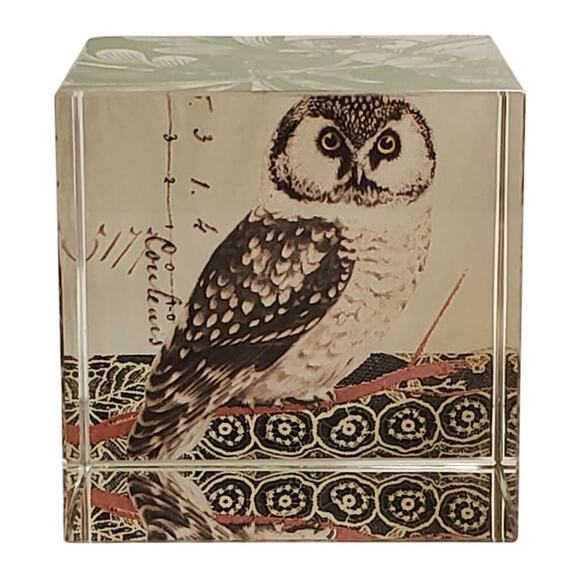 Owl Laser Etched Glass Cube - Picture 1 of 6